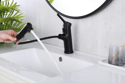 China T&F Polished Bathroom Faucet With Pull Down Sprayer Surface Mounted for sale