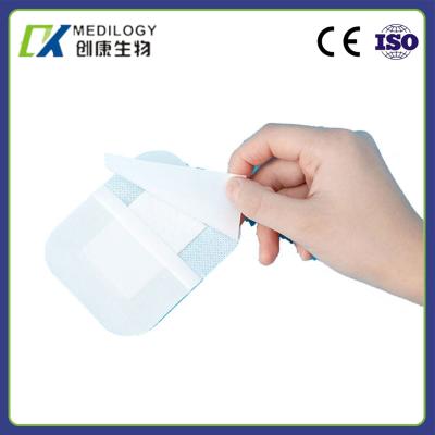 China Disposable Non Woven Wound Dressing Sterile Medical Multigate Dressing Pack for sale