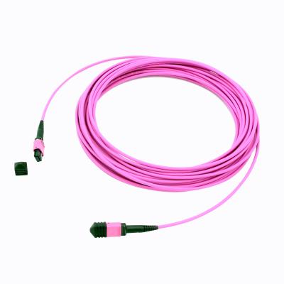 China 24F 40G Male OM4 MPO cable for sale