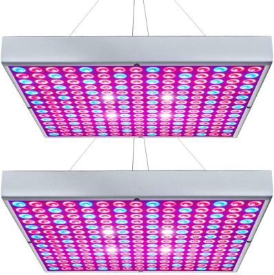 China Red Blue White Panel 45w Led Grow For Seedling Vegetable Flower for sale