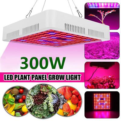 China 300W Indoor Garden LED Growth Lamp 265V Full Spectrum Grow Light For Greenhouse Plant for sale