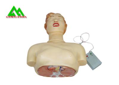 China Modelos de enseñanza médicos del cuerpo humano para las prácticas de la resucitación cardiopulmonar en venta