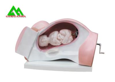 China Durable Medical Teaching Models Dystocia Training Medical Simulator Manikin for sale