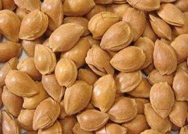 China Apricot  Kernels for sale