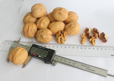 Китай синьцзянские грецкие орехи. продается