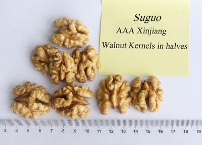 China Sinkiang walnut kernel halves for sale