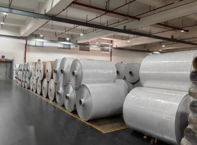 China Etiqueta de papel impermeable de rollo de la aprobación SGS en venta