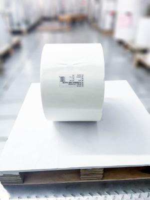 China Transparent BOPP Blank Roll Label Materials Sticker Paper 30u Face Thickness for sale