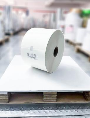 China Milky PE Label Material Roll Paper Acrylic Adhesive Glue Type for sale