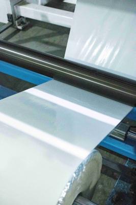 China Transparent PET Printing Film Self Adhesive Label Materials Paper Hot Glue type for sale