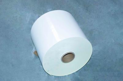 China Etiqueta de papel de unión recubierta, rodillos de papel, adhesivo acrílico, SGS certificado, resistente al agua en venta