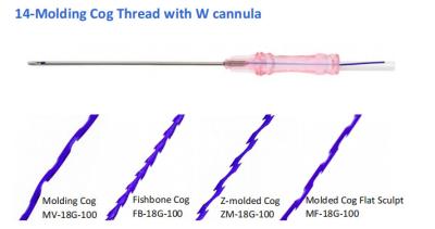China Fiona  Molding Cog Thread Lift With Blant Cannula for sale