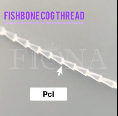 China Ancla/tiburón absorbibles del hilo del diente del moldeado de PDO PCL PLACL en venta