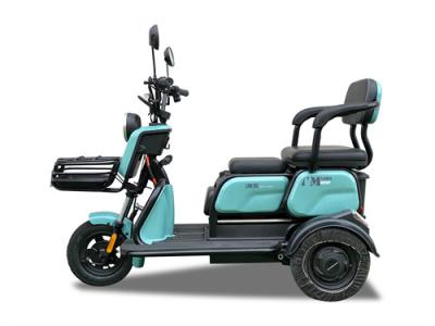 China Convenient Leisure Electric Tricycle 600W Leisure Tricycle Electric Bike for sale