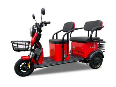 China 800w Leisure Electric Tricycle  Open Three Wheel Electric Bike for sale