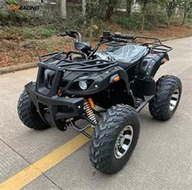 China Universal Off Road Electric Atv Transport All Terrain Off Road Vehicles for sale