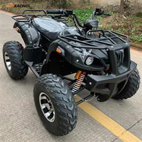 China 1500W Electric All Terrain Vehicles Passenger Atv All Terrain Vehicle for sale
