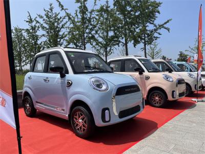 China 3000W Cuatro ruedas coche eléctrico eléctrico de pasajeros conveniente caravana en venta