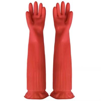中国 XLの特別に長い袖口の乳液の手袋45CMの120G/Pair台所クリーニングの手袋 販売のため