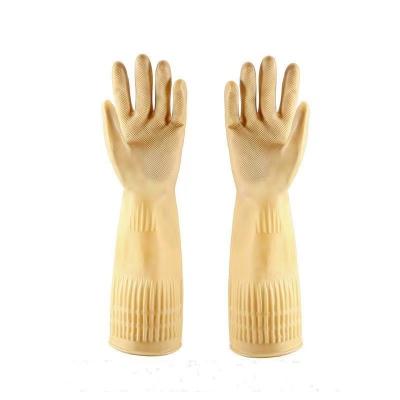 China Yellow Extra Long Cuff Latex Gloves 100G/Pair 38CM Restaurant Latex Gloves for sale