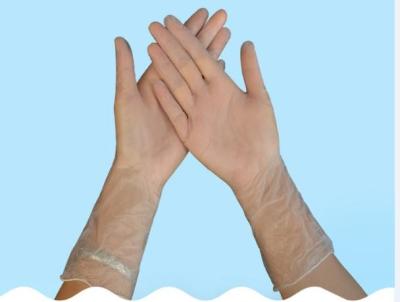 中国 防水ビニールの使い捨て可能な手袋は大きい手袋自由な12インチのビニールの検査の粉にする 販売のため
