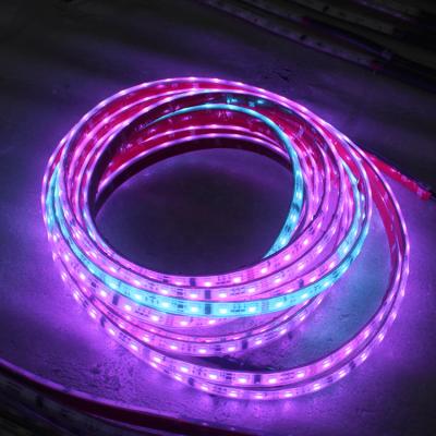 China Facade Lighting Factory Project Wholesale Quality 5M Flexible RGB SMD 5050 60 LEDs/M DC24V IP20 Waterproof Led Strip Light Outlet Accessible Door for sale