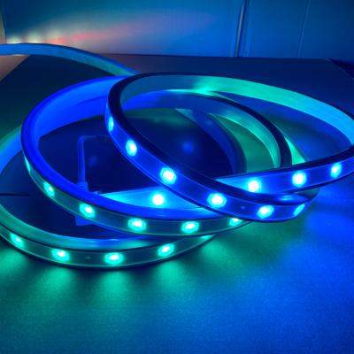 China IP65 5050 theme park led strips lights factory wholesale bare board DC24v 5m RGB waterproof flexible multiple color led strip for sale