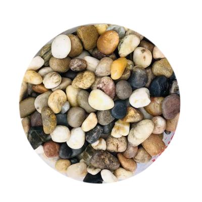 中国 Cheap Contemporary Garden Gravel Pebble Stones 販売のため