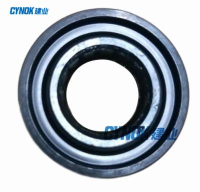 China Standard NAK Hydraulic Cylinder Oil Seal 30008000026 for sale