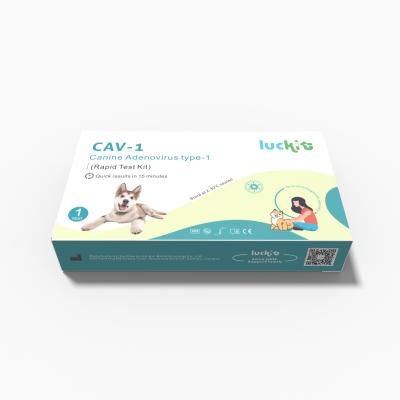 China Canineadenovirus Type 1 CAV-1 Pet Rapid Test DOG Test Kit Class I Fast Reaction Rapid for sale