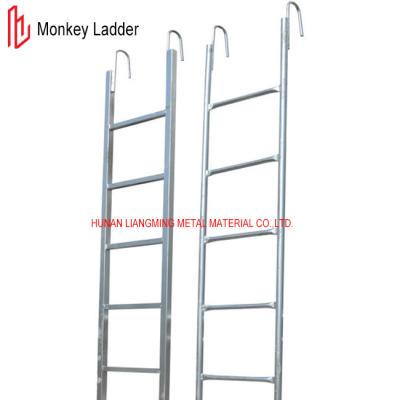 China Pre Galvanized Scaffolding Monkey Ladder Q235 Scaffold Step Ladder for sale