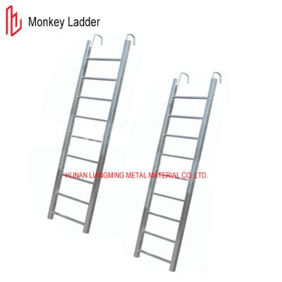 China Q235 Escalera de gato pregalvanizada para sistemas de andamios de marco en venta