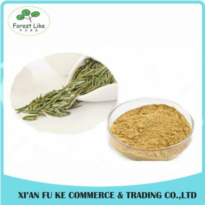 China Health-care Product Instant Tea Powder Pure Natural White Tea Extract with Polyphenols for sale