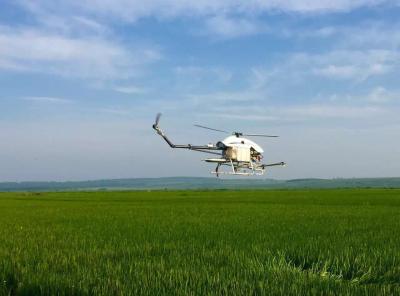 China Low Cost Crop Dusting Helicopter UAV for Agriculture Use Ginger , Rice , Wheat for sale