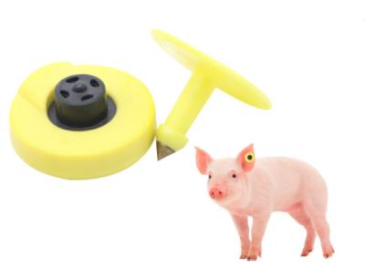 중국 개 양 돼지를 위한 TPU 저주파 방수 Rfid 소 귀 꼬리표 판매용