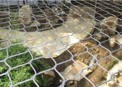 Chine La longévité élevée SUS316 a enfermé le fil Mesh Animal Wire Mesh de zoo à vendre