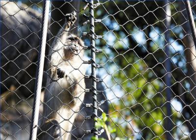 中国 AISI316 ステンレス鋼の動物園の金網の抵抗力がある透明な動物園の飼鳥園の網の天候 販売のため