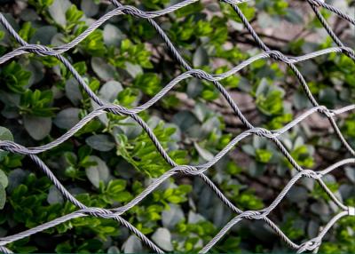 China Pajarera anudada de las aves de corral/del parque zoológico que pesca grueso de alta resistencia del alambre de la red 1.2-2.0m m de la cuerda en venta