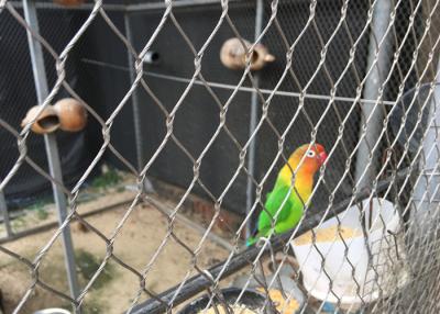 中国 Xステンレス鋼の反腐食物を得るワイヤー ロープの屋外の飼鳥園をであって下さい 販売のため