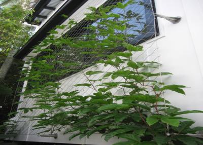 China Treliça flexível da planta da corda de fio de Inox, planta que escala a malha verde da parede à venda