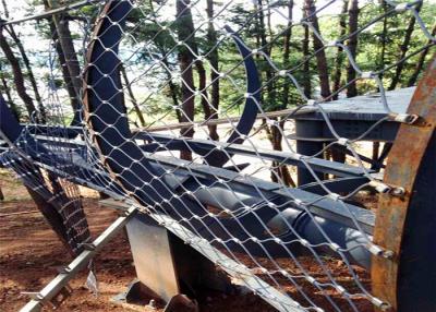 中国 証明されるAISI 316のオウムの飼鳥園の網の黒の酸化物のステンレス鋼SGS 販売のため