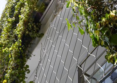 Cina Decorazione rampicante dell'iarda di sostegno della facciata del cavo metallico del traliccio architettonico della pianta in vendita