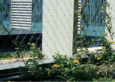 China flexible mesh SS Wire Trellis Fencing CE Approved Outdoor For Architectural for sale