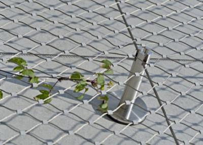 中国 ステンレス鋼ロープの網/植物の格子垣または構造の建物の正面の安全策 販売のため