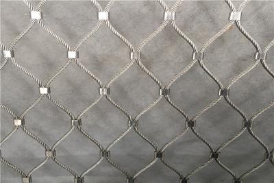 China Ferrule Stainless Steel Zoo Mesh for sale