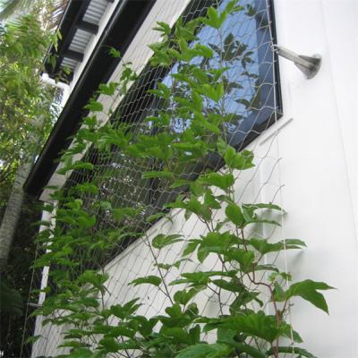 China Eco Green Wall 1.2mm Stainless Steel Wire Rope Mesh For Green Facade for sale
