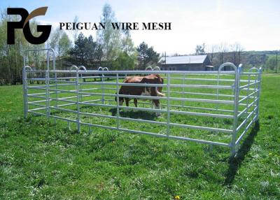 China Hot Dipped Galvanized Cattle Yard Panel , Farm Metal Horse Fence Panels for sale