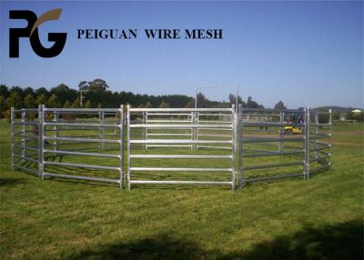 China Easily Assembled Cattle Yard Panel , Lightweight Galvanized Cattle Panels for sale