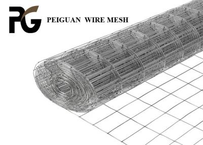China Lightweight Farm Galvanized Welded Wire Mesh 50.8mmx50.8mm for sale