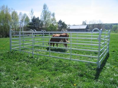 Chine Le rond en acier clôture des bétail du bétail 1.8m HDG que le yard lambrisse à vendre